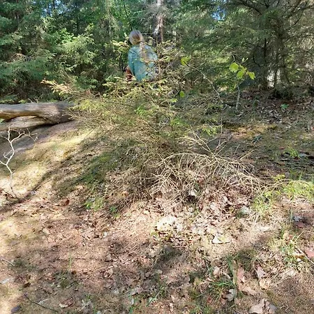 Bed & Breakfast Elmegaard