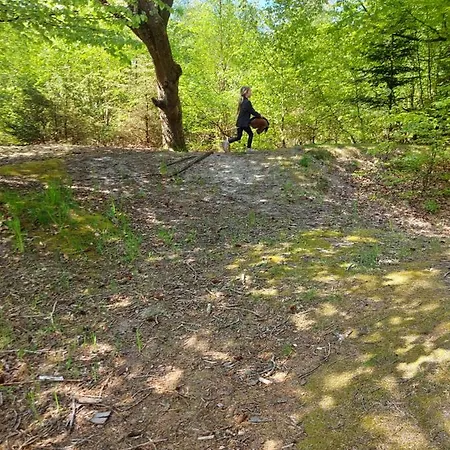 Elmegaard Bed & Breakfast Kolding