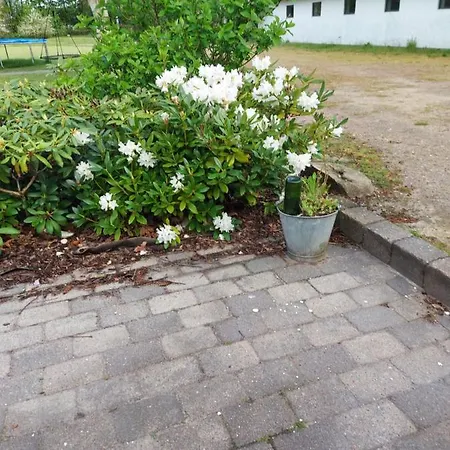 Elmegaard Bed & Breakfast Kolding