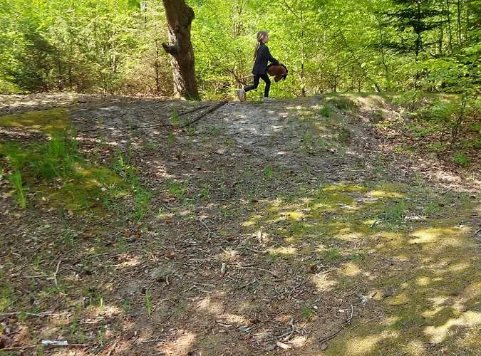 Elmegaard Bed and breakfast Kolding